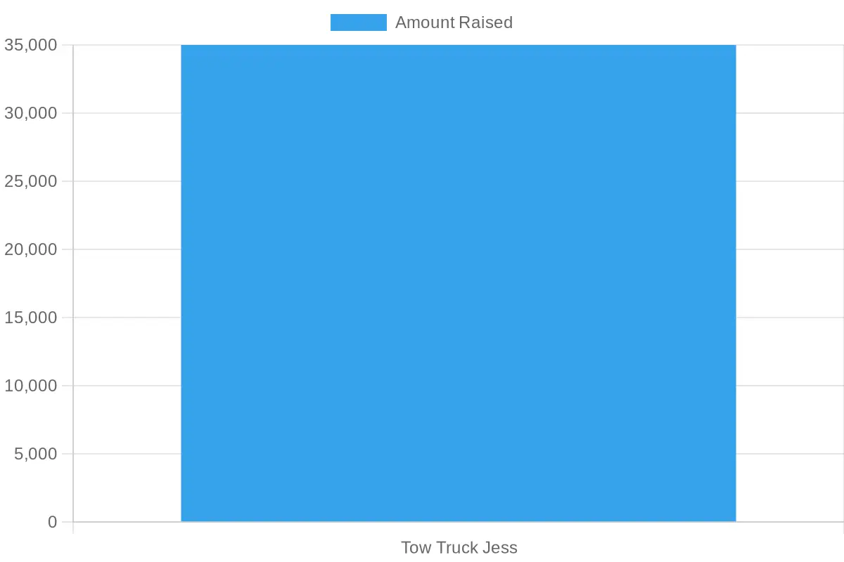 Fundraising Chart